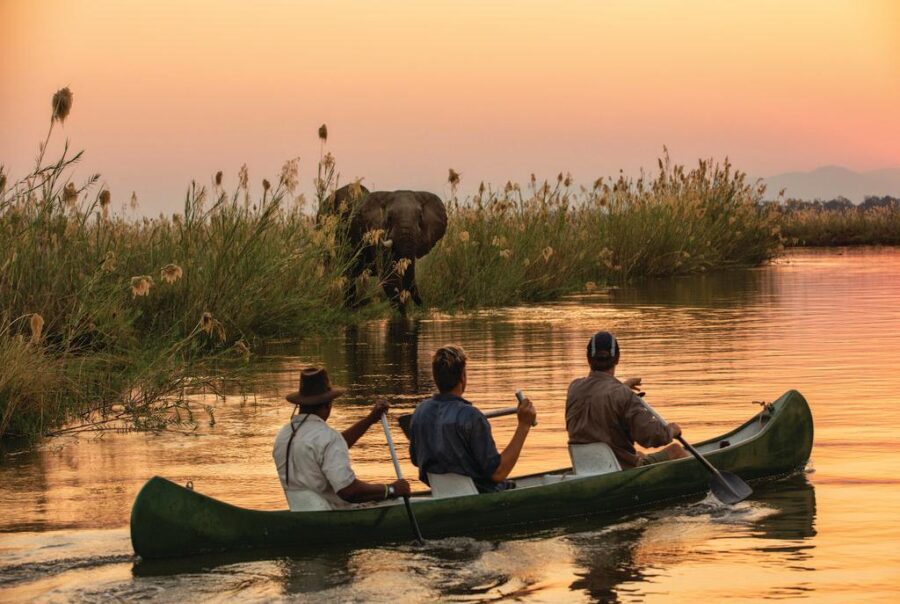 © Tembo Plains Camp Mana Pools