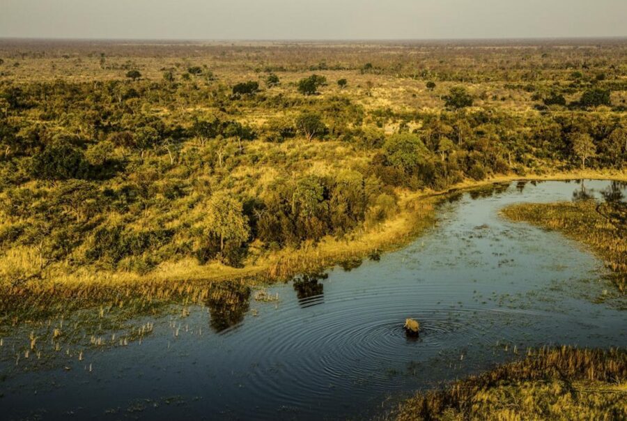 Selinda Reserve Selinda Reserve