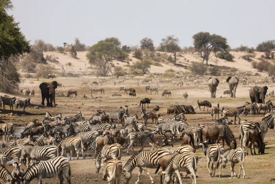 Moela Safari Lodge Moela Safari Lodge