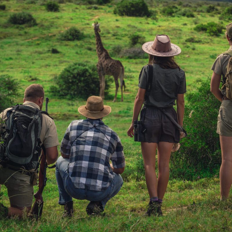 south africa Explorer Camp at Shamwari Private Game Reserve 5