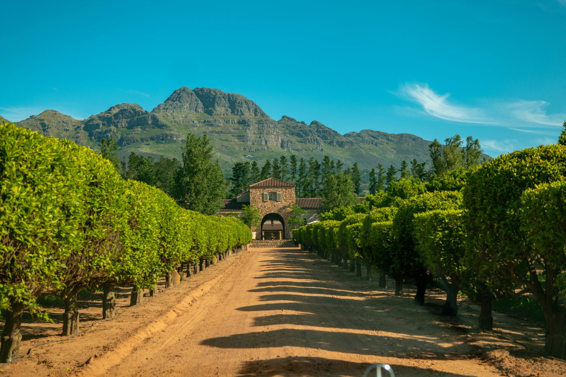 south africa stellenbosch matthias-wesselmann-HBiwI3hoOuo-unsplash